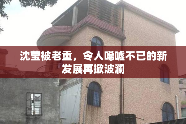 沈莹被老重，令人唏嘘不已的新发展再掀波澜