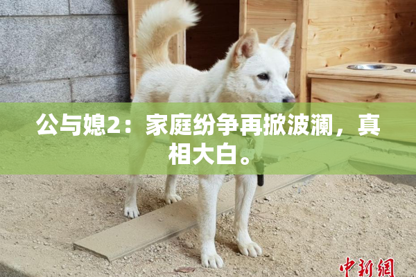 公与媳2：家庭纷争再掀波澜，真相大白。
