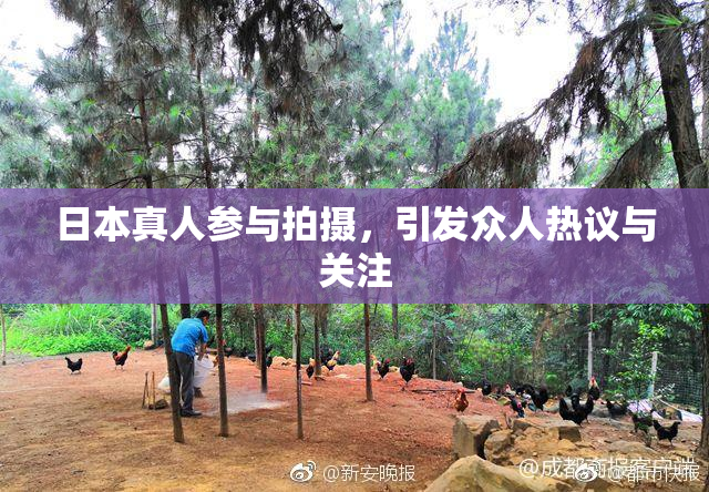 日本真人参与拍摄，引发众人热议与关注