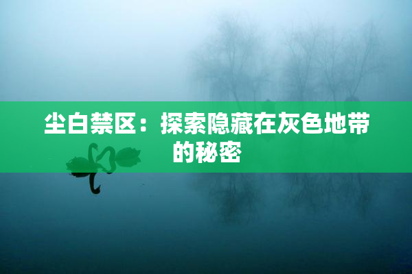 尘白禁区：探索隐藏在灰色地带的秘密