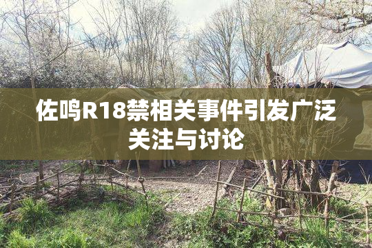 佐鸣R18禁相关事件引发广泛关注与讨论