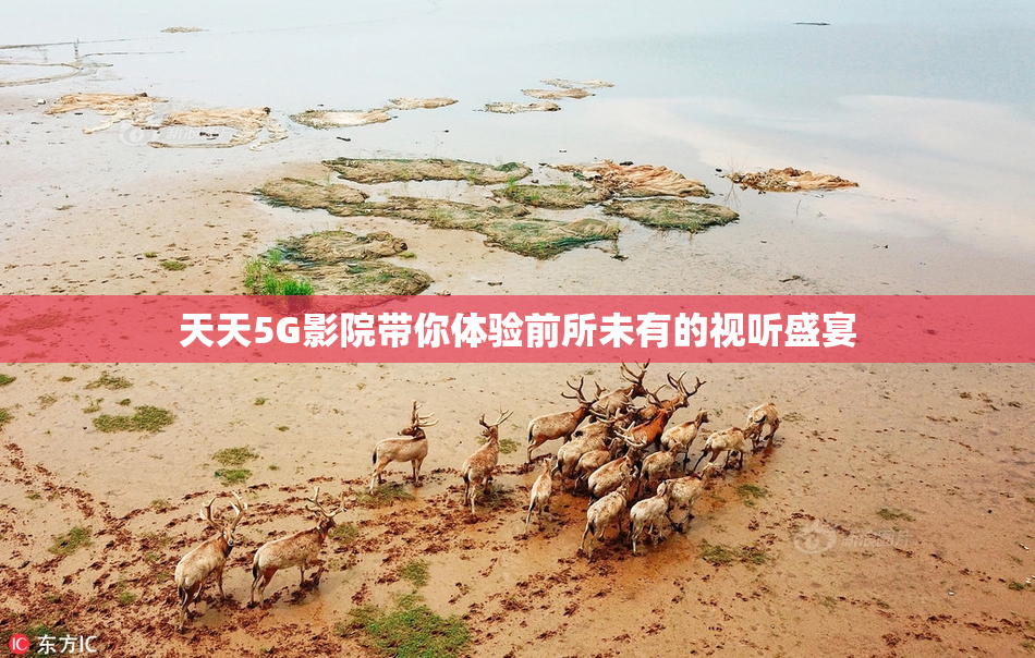 天天5G影院带你体验前所未有的视听盛宴
