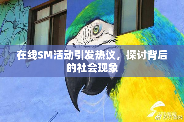 在线SM活动引发热议，探讨背后的社会现象