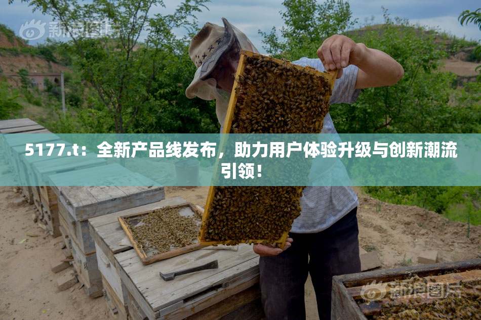 5177.t：全新产品线发布，助力用户体验升级与创新潮流引领！