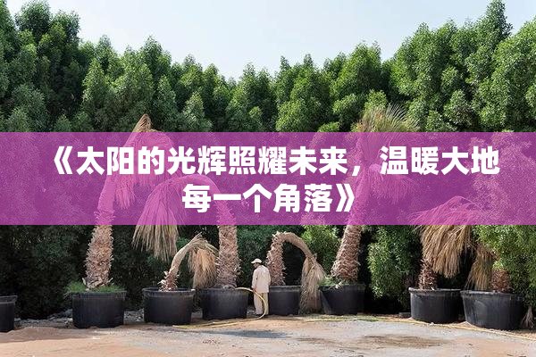 《太阳的光辉照耀未来，温暖大地每一个角落》