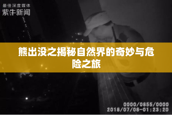 熊出没之揭秘自然界的奇妙与危险之旅