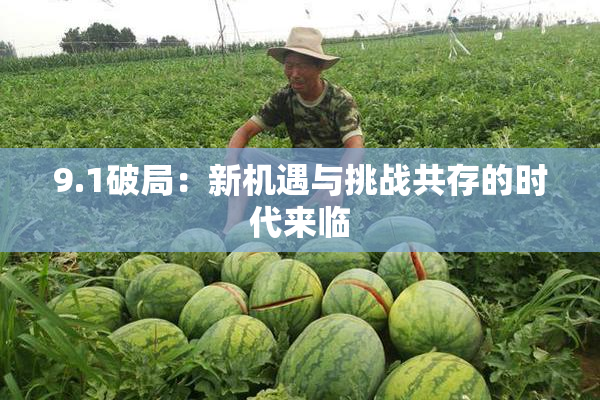 9.1破局：新机遇与挑战共存的时代来临
