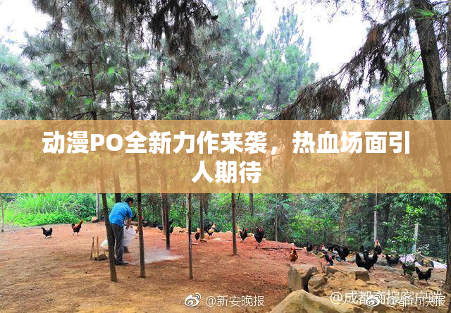 动漫PO全新力作来袭，热血场面引人期待
