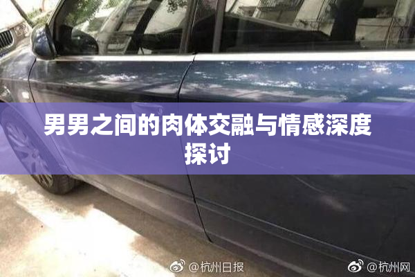 男男之间的肉体交融与情感深度探讨