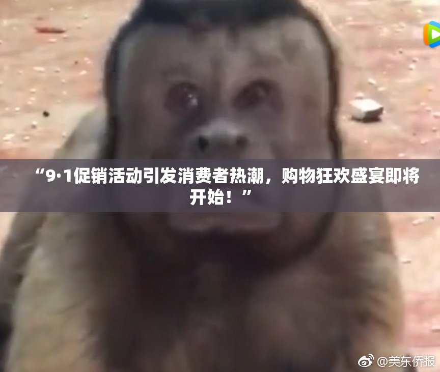 “9·1促销活动引发消费者热潮，购物狂欢盛宴即将开始！”