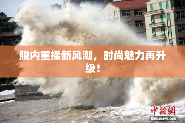 脱内重揉新风潮，时尚魅力再升级！