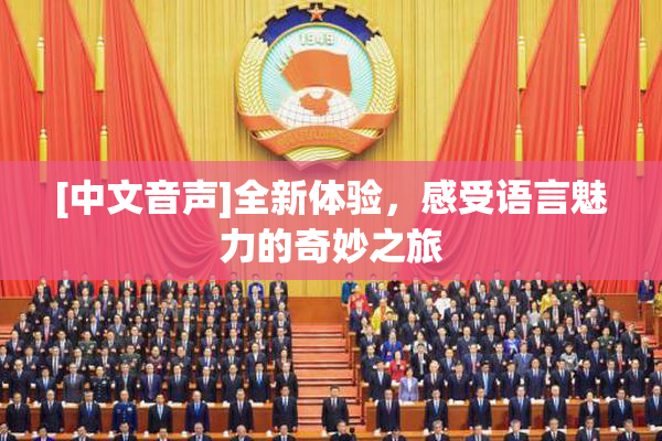 [中文音声]全新体验，感受语言魅力的奇妙之旅
