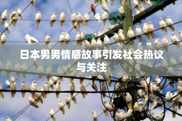 日本男男情感故事引发社会热议与关注