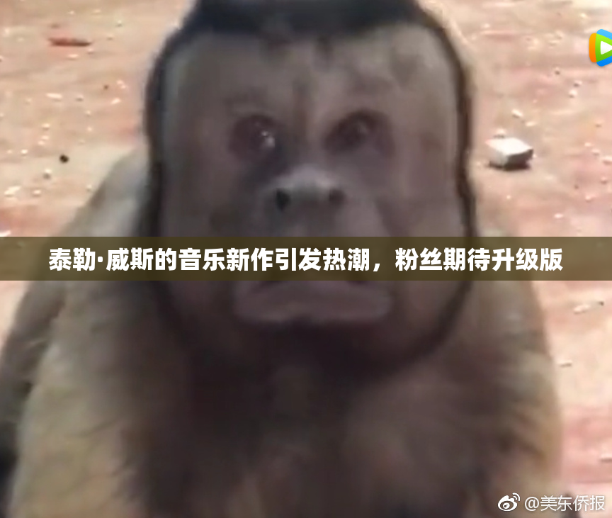 泰勒·威斯的音乐新作引发热潮，粉丝期待升级版