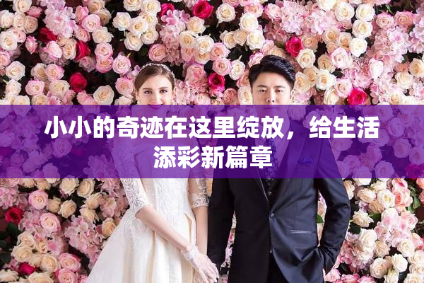 小小的奇迹在这里绽放，给生活添彩新篇章