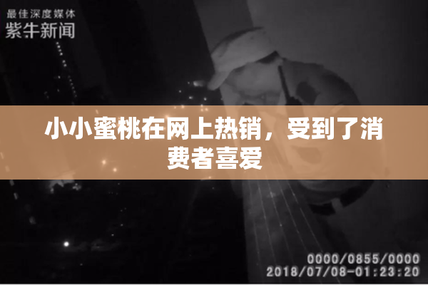 小小蜜桃在网上热销，受到了消费者喜爱