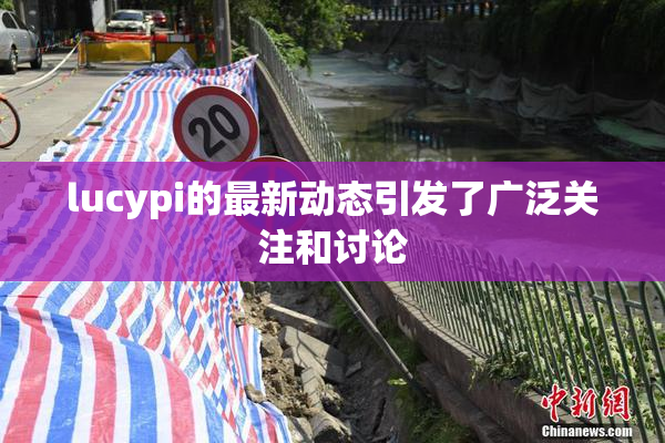 lucypi的最新动态引发了广泛关注和讨论