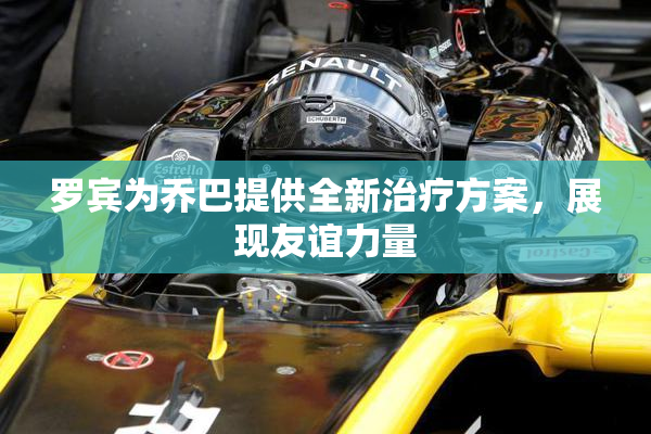 罗宾为乔巴提供全新治疗方案，展现友谊力量