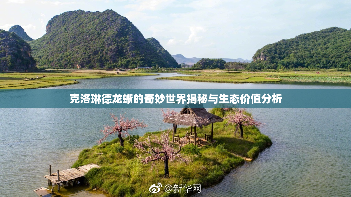 克洛琳德龙蜥的奇妙世界揭秘与生态价值分析