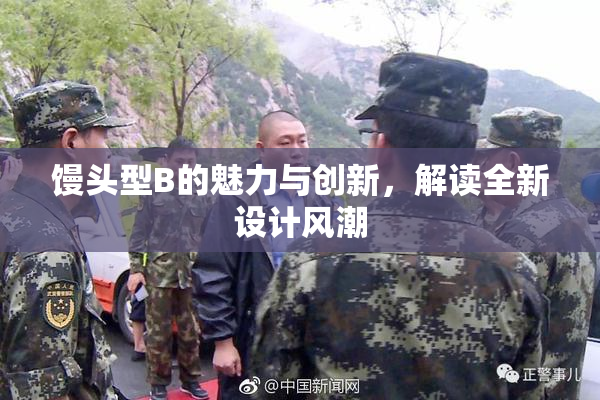 馒头型B的魅力与创新，解读全新设计风潮