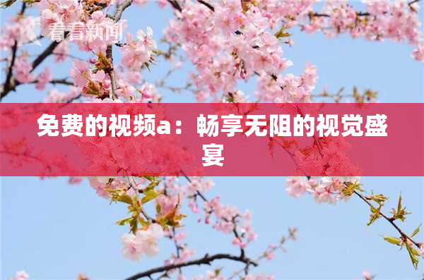 免费的视频a：畅享无阻的视觉盛宴