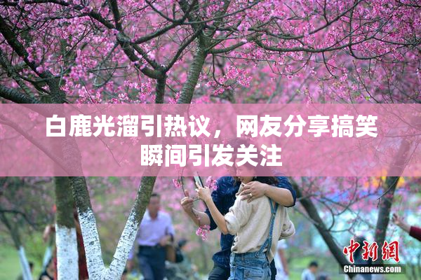 白鹿光溜引热议，网友分享搞笑瞬间引发关注
