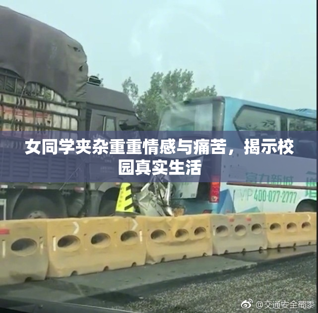 女同学夹杂重重情感与痛苦，揭示校园真实生活