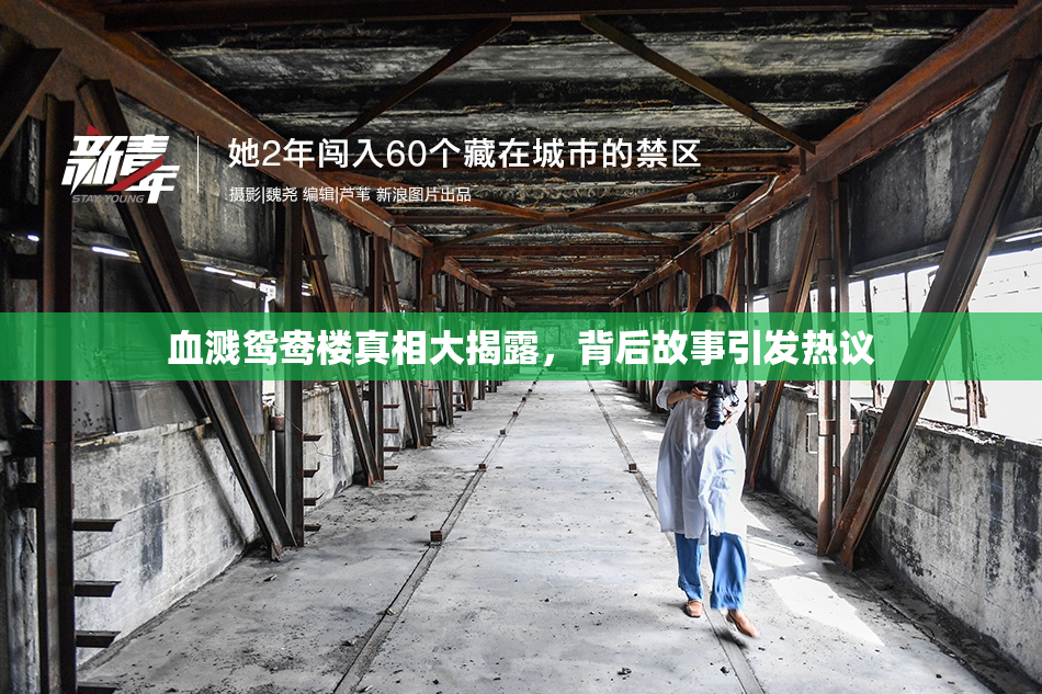 血溅鸳鸯楼真相大揭露，背后故事引发热议