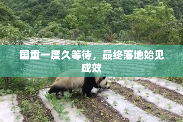 国重一度久等待，最终落地始见成效