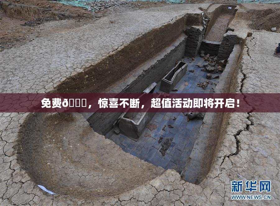 免费🔞，惊喜不断，超值活动即将开启！