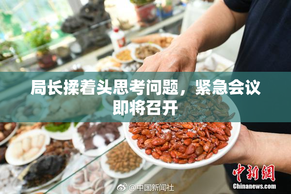 局长揉着头思考问题，紧急会议即将召开