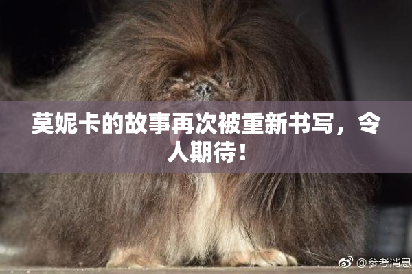 莫妮卡的故事再次被重新书写，令人期待！