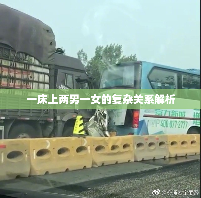一床上两男一女的复杂关系解析