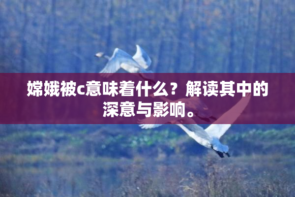 嫦娥被c意味着什么？解读其中的深意与影响。