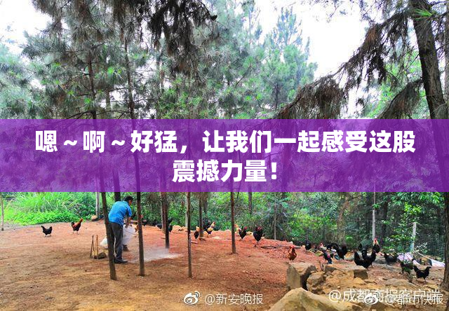 嗯～啊～好猛，让我们一起感受这股震撼力量！