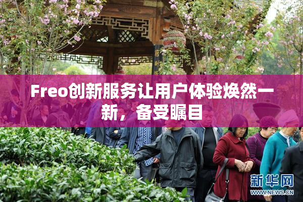 Freo创新服务让用户体验焕然一新，备受瞩目