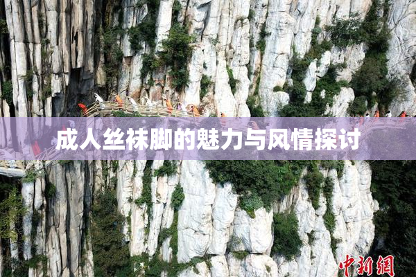 成人丝袜脚的魅力与风情探讨