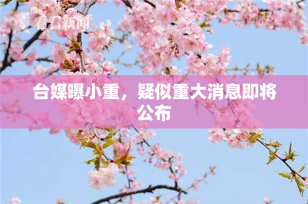 台媒曝小重，疑似重大消息即将公布