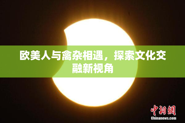 欧美人与禽杂相遇，探索文化交融新视角
