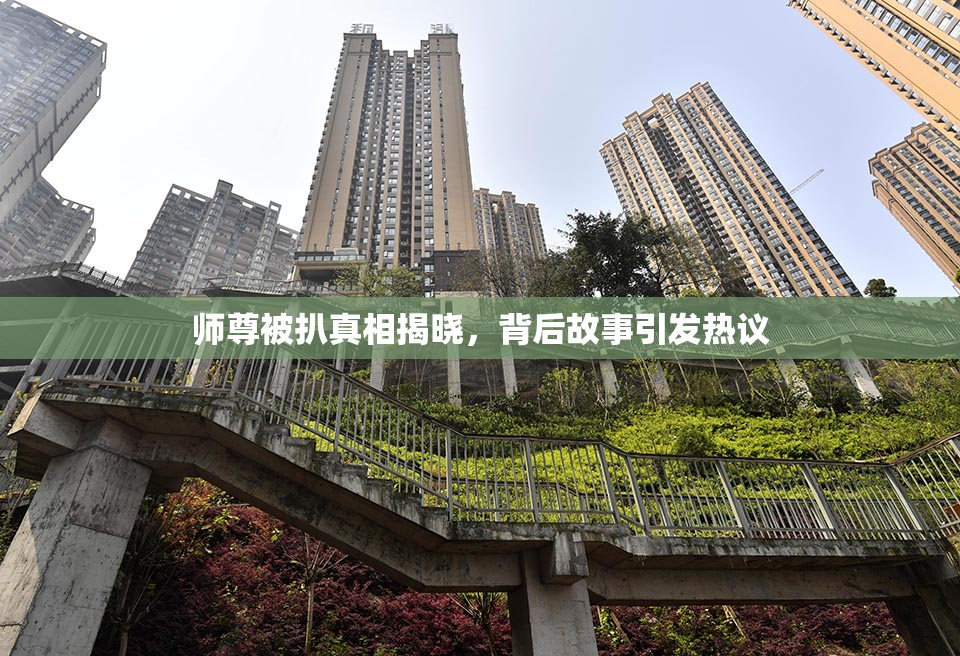 师尊被扒真相揭晓，背后故事引发热议