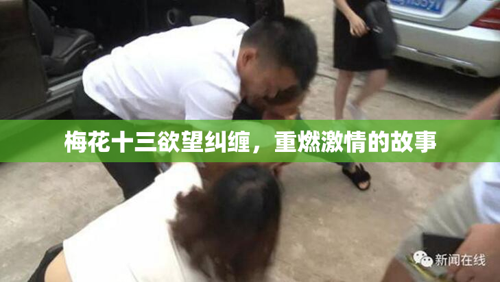 梅花十三欲望纠缠，重燃激情的故事