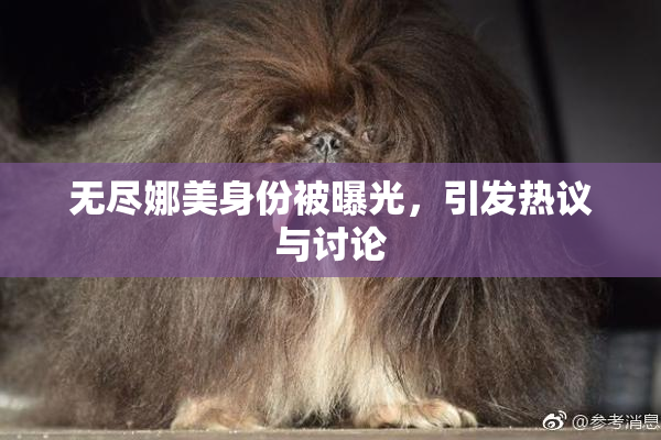 无尽娜美身份被曝光，引发热议与讨论