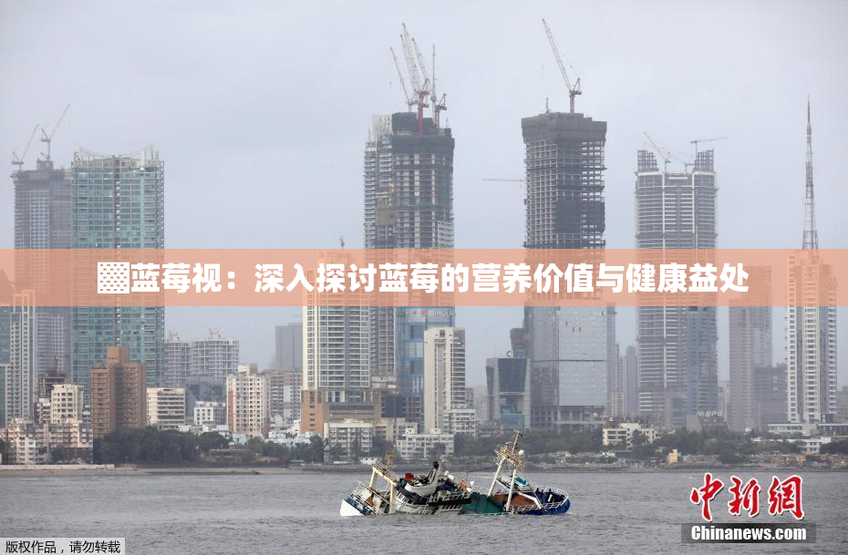 ▓蓝莓视：深入探讨蓝莓的营养价值与健康益处