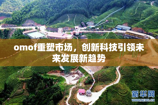 omof重塑市场，创新科技引领未来发展新趋势