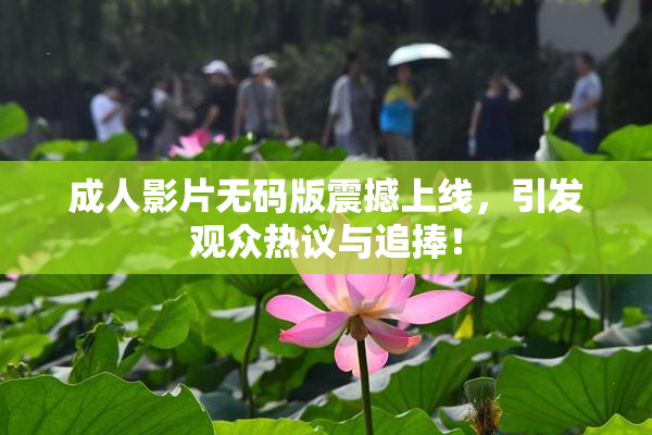 成人影片无码版震撼上线，引发观众热议与追捧！