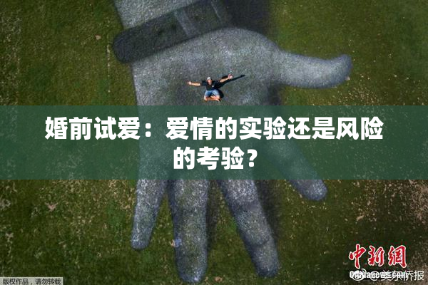 婚前试爱：爱情的实验还是风险的考验？