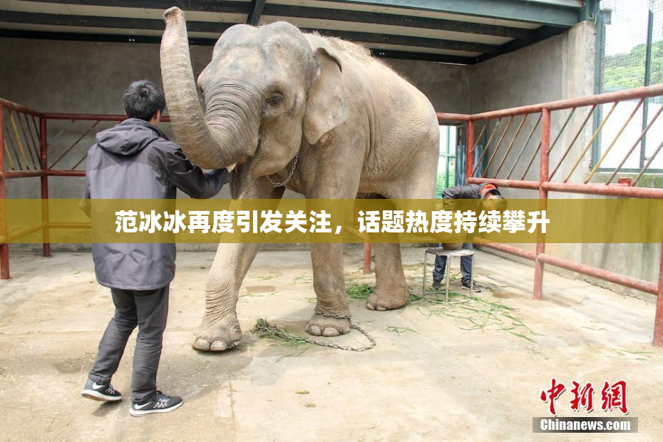 范冰冰再度引发关注，话题热度持续攀升