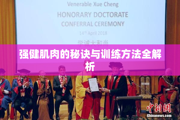 强健肌肉的秘诀与训练方法全解析