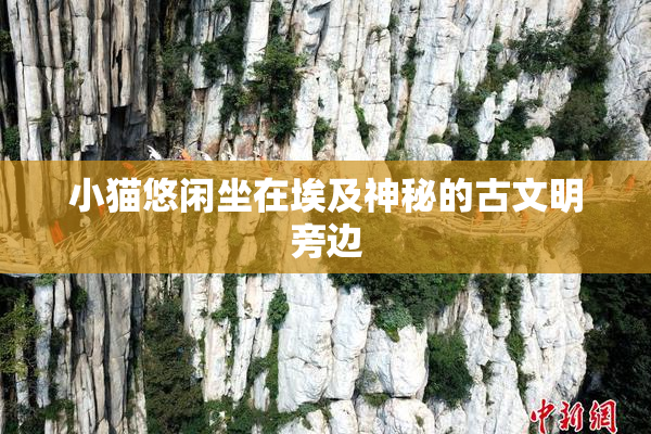 小猫悠闲坐在埃及神秘的古文明旁边