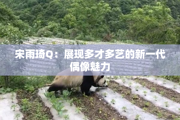 宋雨琦Q：展现多才多艺的新一代偶像魅力